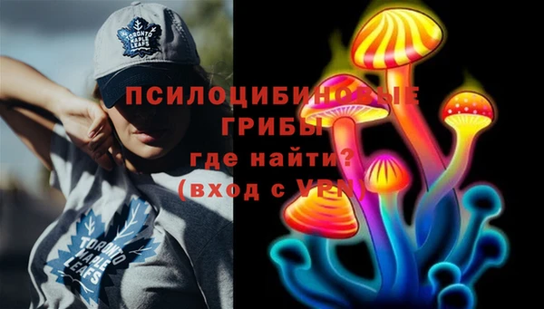 ГАЛЛЮЦИНОГЕННЫЕ ГРИБЫ Балабаново