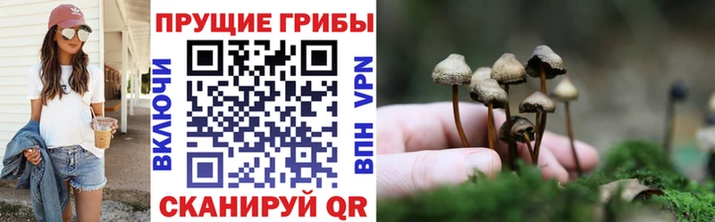 Галлюциногенные грибы мухоморы  купить   кракен зеркало  Высоковск 